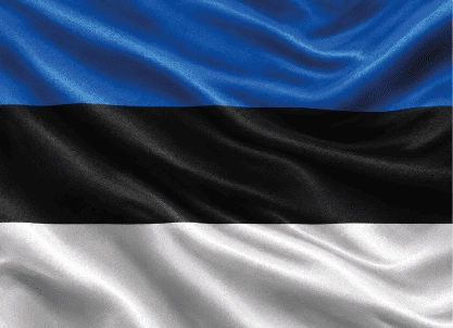 Шенгенская виза в Эстонию